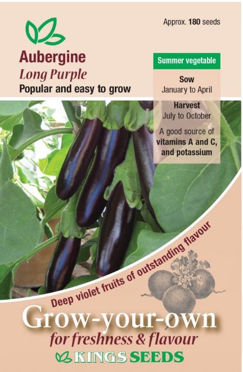 Aubergine Jackpot F1 Hybrid Seeds – JustSeed.